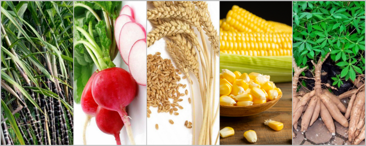 Gia vị umami giúp món ăn ngon hơn