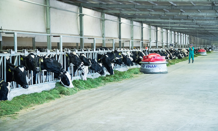 Vinamilk là thương hiệu có giá trị cao nhất Việt Nam năm 2019