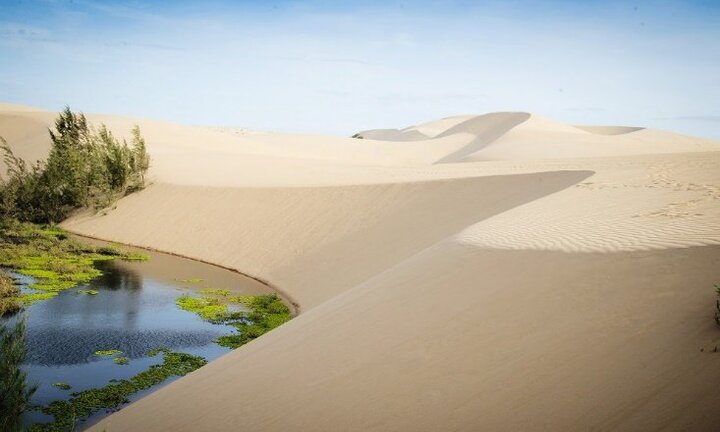 Lợi thế nào để cất cánh tiềm năng mảnh đất vùng Duyên hải Nam Trung Bộ - Bình Thuận?