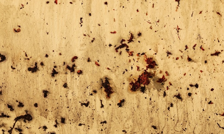 'Tỏa 3' – Cuộc thử nghiệm táo bạo của nghệ thuật đương đại