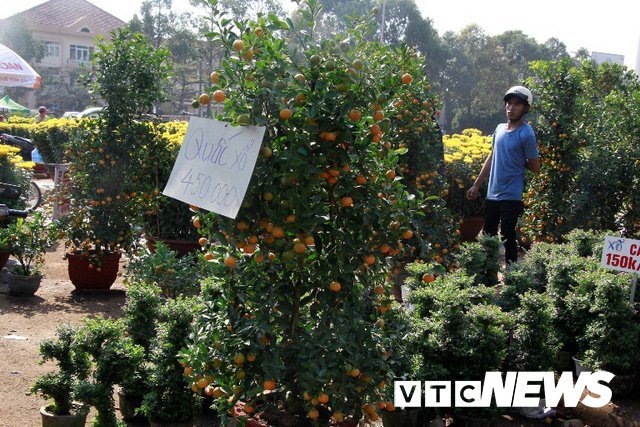 Chủ buôn hoa ở Bình Định đồng loạt giảm giá, xả hàng để kịp về đón giao thừa