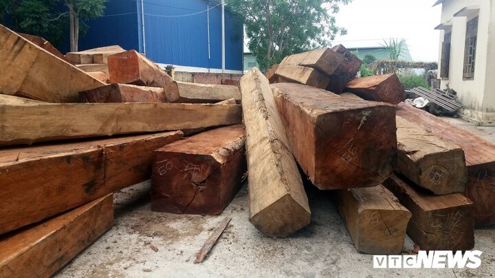 Bắt khẩn cấp trùm buôn lậu gỗ ở Gia Lai