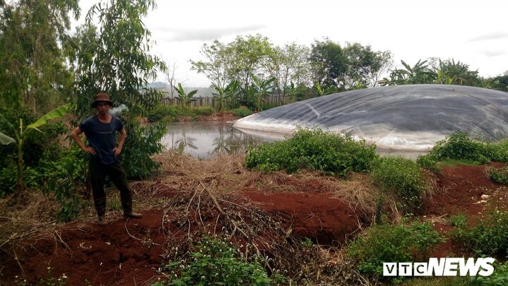 Trại heo ở Gia Lai gây ô nhiễm, dân than trời vì hôi thối, bệnh tật