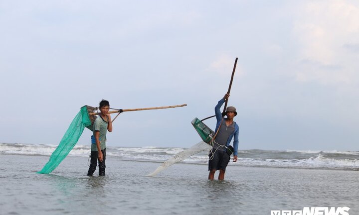 Ảnh: Dân Bình Thuận cào chang chang từ sáng sớm trên biển, kiếm tiền triệu mỗi ngày