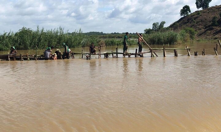 Vỡ đê bao ở Đắk Lắk, hơn 1.000 ha lúa sắp thu hoạch ngập trong nước