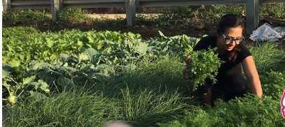 Cuộc sống của BTV Vân Anh sau khi chia tay VTV