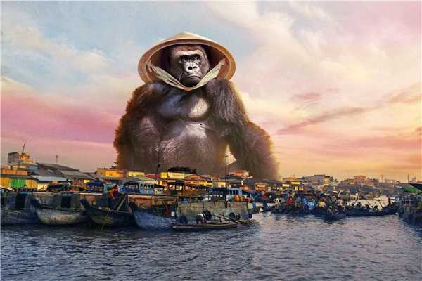 Chết cười với loạt ảnh chế 'mang Kong đi khắp Việt Nam'