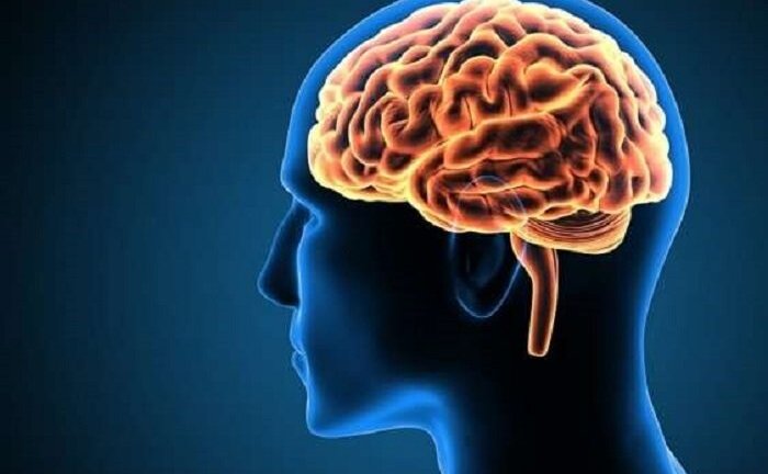 10 hiểu biết sai lầm về não bộ con người