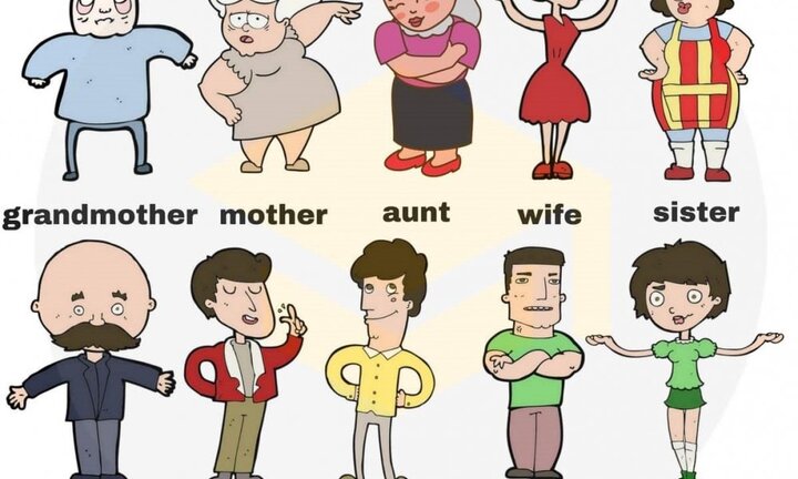 Từ vựng tiếng Anh chỉ thành viên gia đình bằng hình ảnh ngộ nghĩnh