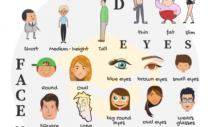 Từ vựng tiếng Anh miêu tả đặc điểm diện mạo con người