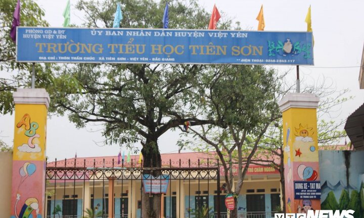 Đình chỉ thầy giáo bị tố dâm ô 13 nữ sinh lớp 5 ở Bắc Giang