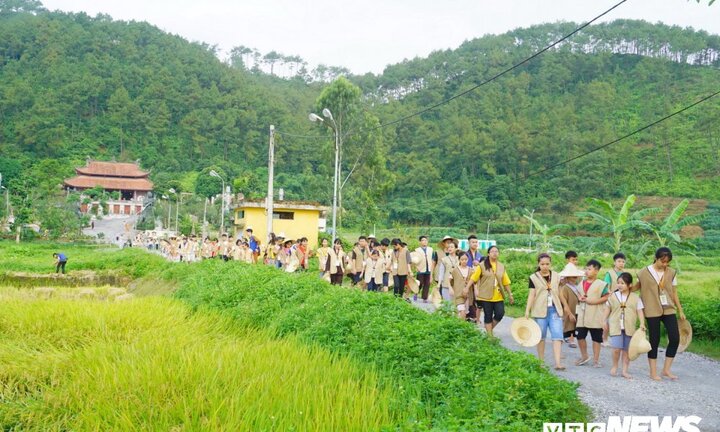 Hàng trăm học sinh thành phố lội ruộng mót lúa, nấu cơm chay cúng Phật