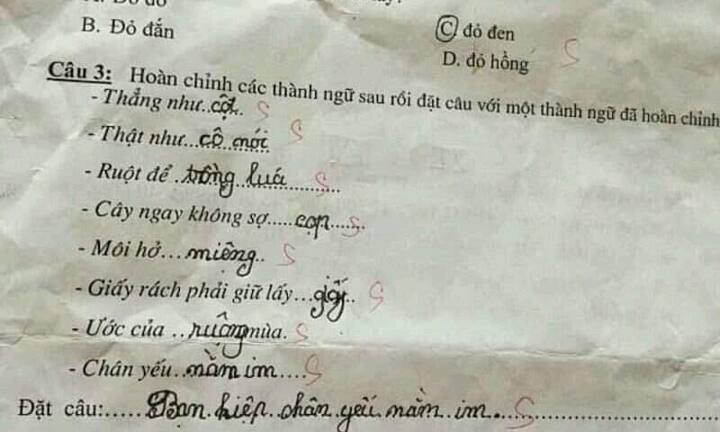 Cưới té ghế với màn chế các câu thành ngữ của học trò