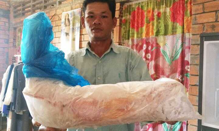 Bắt được cá nghi là cá sủ vàng, nhà hàng trả 100 triệu đồng