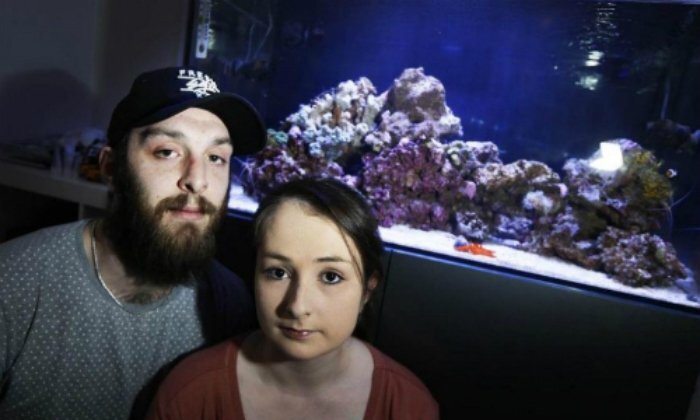 Chất độc nghi từ bể cá cảnh khiến cả gia đình ở Anh nhập viện