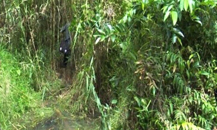 Bé gái 13 tuổi bị sát hại, chôn xác trong bụi cây gần nhà: Khởi tố vụ án