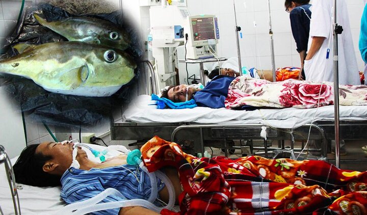Ăn cá nóc bắt ngoài đồng, 3 người ngưng thở, 2 người cứng hàm