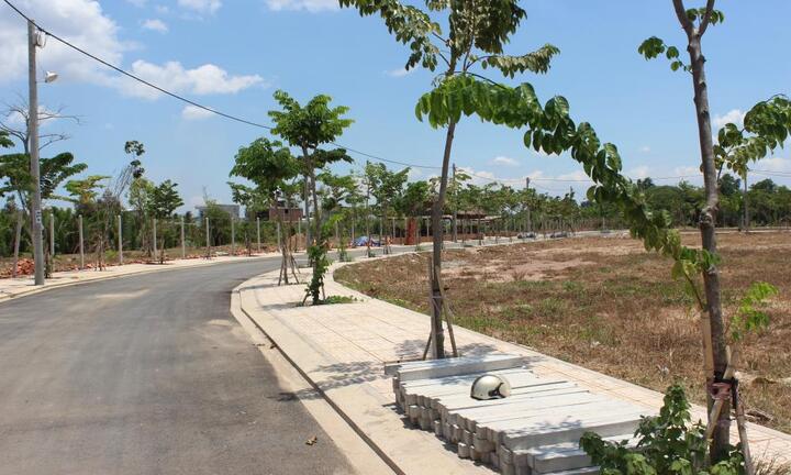 TP.HCM yêu cầu xử lý nghiêm cá nhân, tổ chức vi phạm phân lô, bán nền tại huyện Hóc Môn