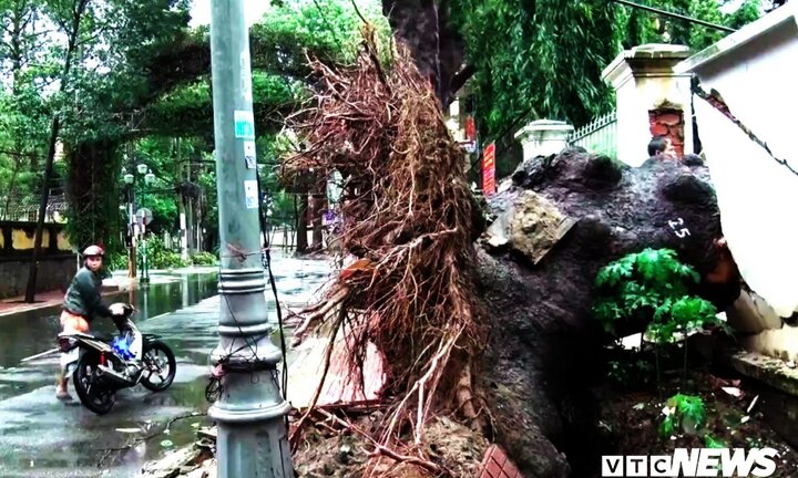 Ngày mai hơn 200.000 học sinh Bà Rịa - Vũng Tàu tiếp tục nghỉ học để tránh bão