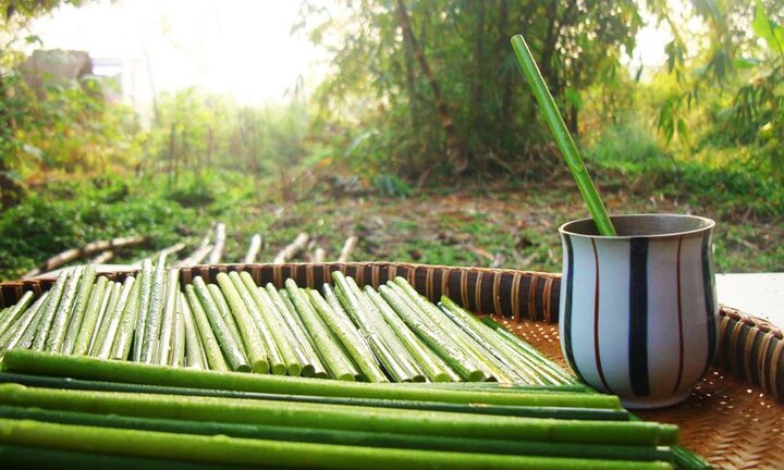 Thầy giáo bỏ nghề, ‘về vườn' sản xuất ống hút bằng cỏ, thay thế sản phẩm nguy hại môi trường