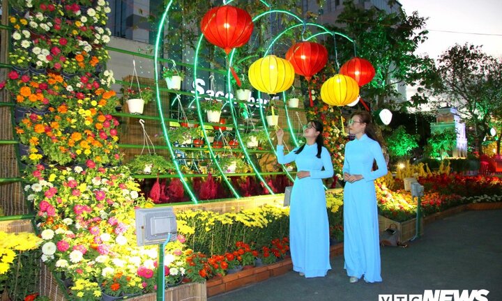 Đường hoa Cần Thơ làm từ 80.000 chậu hoa tươi