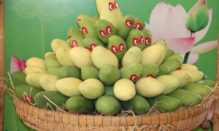 Xoài Việt Nam 'cất cánh' sang Mỹ sau 10 năm đàm phán