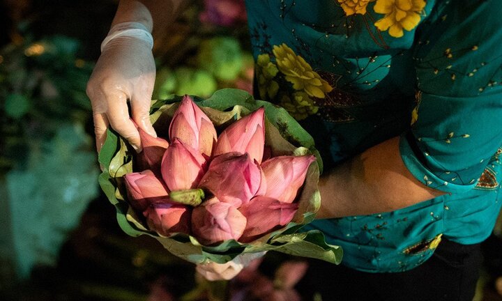Ảnh: Ngập tràn sắc sen tại chợ hoa Quảng Bá ngày đầu tháng 6