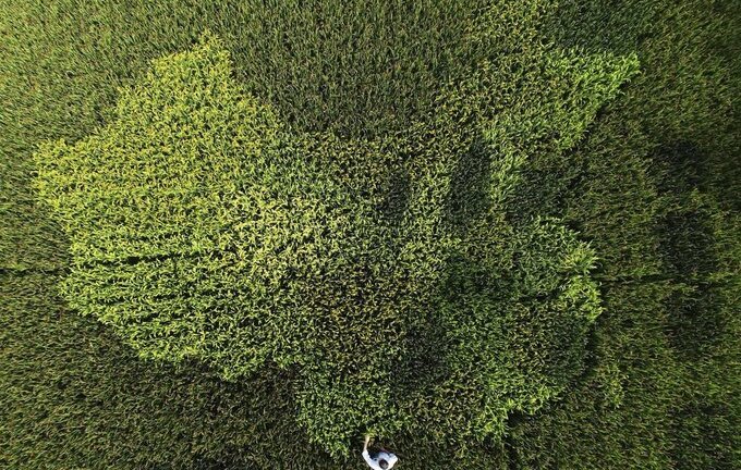 Những bức ảnh chấn động về nền kinh tế khổng lồ của Trung Quốc