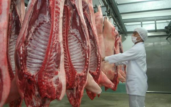 Lần đầu tiên Việt Nam xuất khẩu thịt lợn tươi chính ngạch