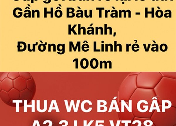 Rao bán nhà vì thua độ World Cup: Hàng rẻ bất ngờ, thật khó tin