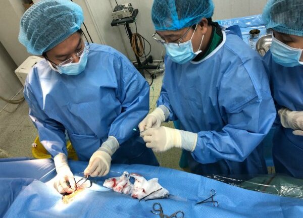 Đặt máy tạo nhịp tim cứu sống cụ ông Vĩnh Long 101 tuổi ngoạn mục
