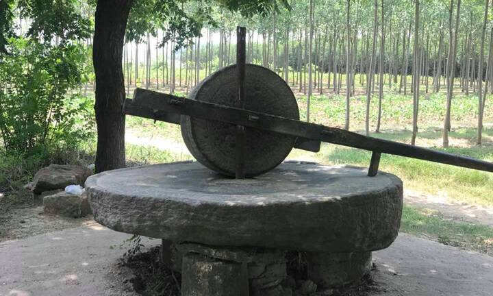 Đại gia Đồng Nai chi 160 triệu đồng mua chiếc cối đá