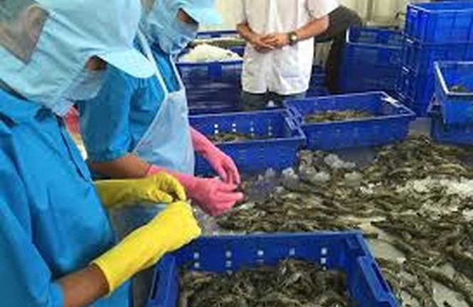 20 mặt hàng xuất khẩu vượt ngưỡng 1 tỷ USD