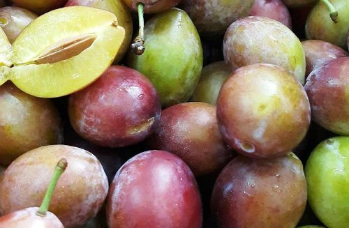 Mận ngoại ồ ạt về Việt Nam giá 500 nghìn đồng/kg