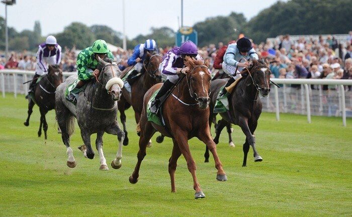 Phú Yên muốn xây trường đua ngựa rộng 95 ha, tổng mức đầu tư 100 triệu USD