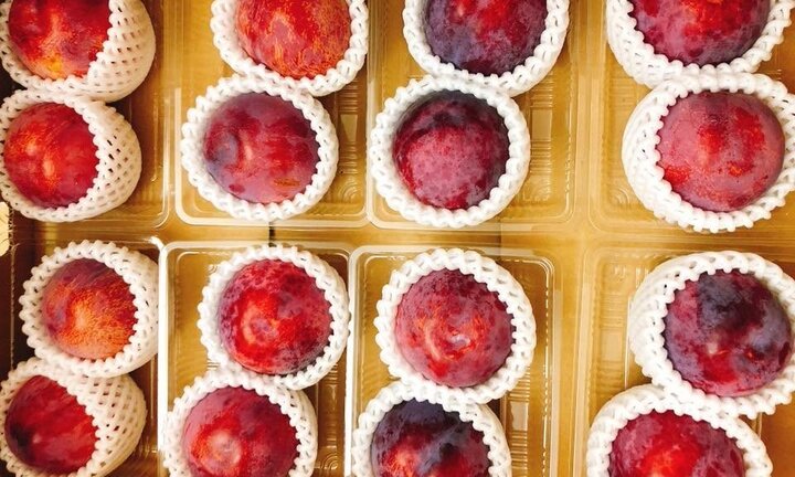 Giá 200 nghìn đồng/quả, mận Nhật vẫn hút người mua