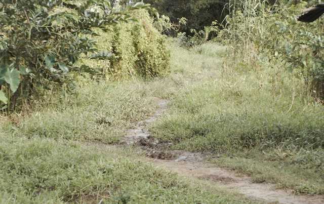 Con phạm tội hiếp dâm, cha mang tiền đến nhà công an xin 'giảm nhẹ' hình phạt