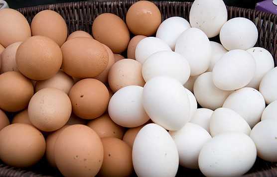 Trứng gà nâu và trắng khác nhau ở điểm nào?