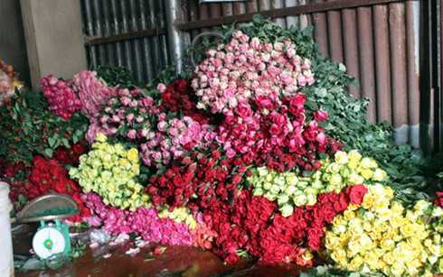 Cận ngày Nhà giáo Việt Nam: Hoa Đà Lạt đồng loạt tăng giá mạnh