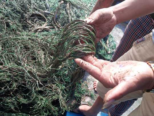 'Bùn lạ' bám trên lưới, ngư dân Quảng Trị lao đao