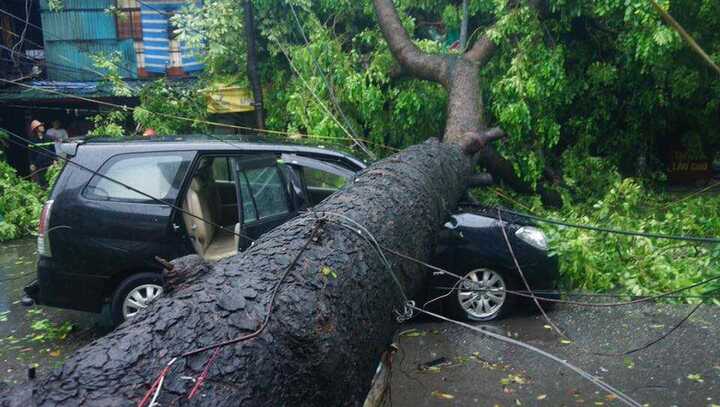 Cây đổ la liệt trong bão số 1, hàng loạt ôtô bị đè bẹp trên phố Hà Nội
