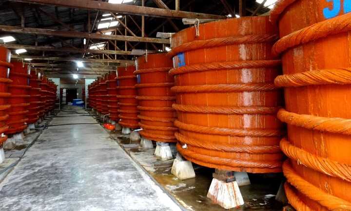 Bộ Nông nghiệp và Phát triển nông thôn: 100% mẫu nước mắm không nhiễm thạch tín