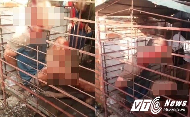 Phẫn nộ người dân đánh đập 'cẩu tặc' dã man, nhốt cùng chó trong lồng