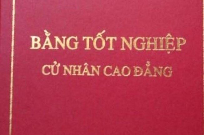 Một vụ trưởng thuộc Thanh tra Chính phủ khai bằng cao đẳng thành đại học