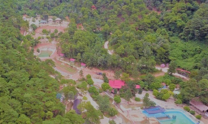 Rừng phòng hộ ở Sóc Sơn bị 'xẻ thịt': Đình chỉ công tác Chủ tịch xã Minh Phú