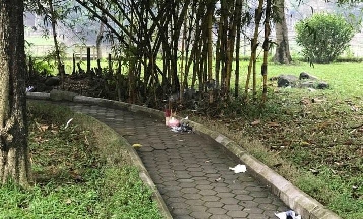 Truy bắt nghi phạm sát hại cô gái trong vườn hoa ở Hà Nội