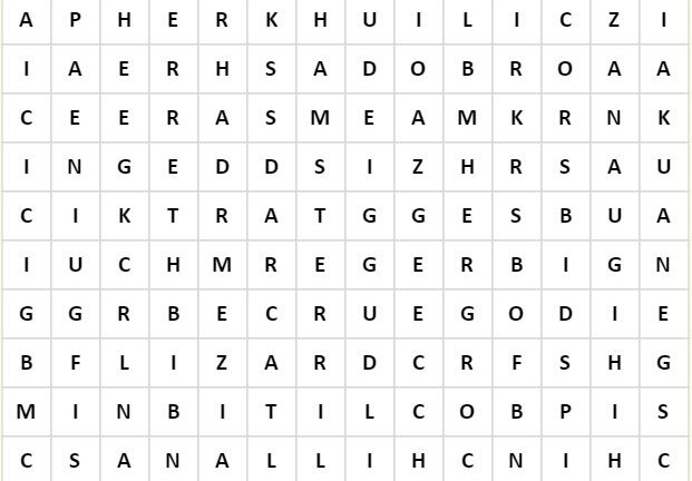 Dạy bé tiểu học 15 từ vựng về con vật bằng tiếng Anh qua trò ô chữ