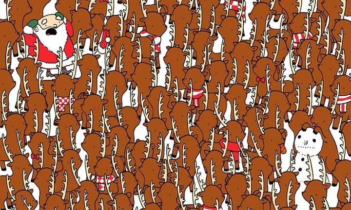 Hầu hết mọi người nhìn nhầm con gấu trong đàn tuần lộc, bạn có phải ngoại lệ?