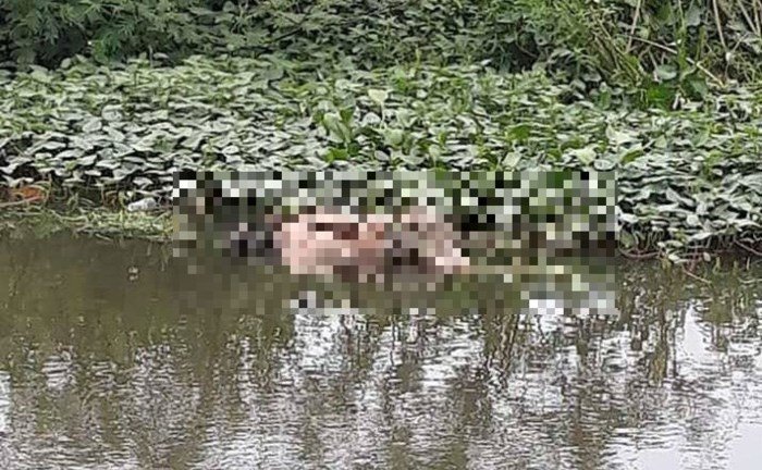 Thi thể người đàn ông nổi trên hồ nước ở Quảng Nam