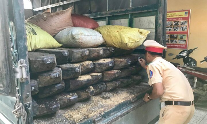 CGST Huế phát hiện ô tô chở lượng lớn gỗ quý không có dấu kiểm lâm